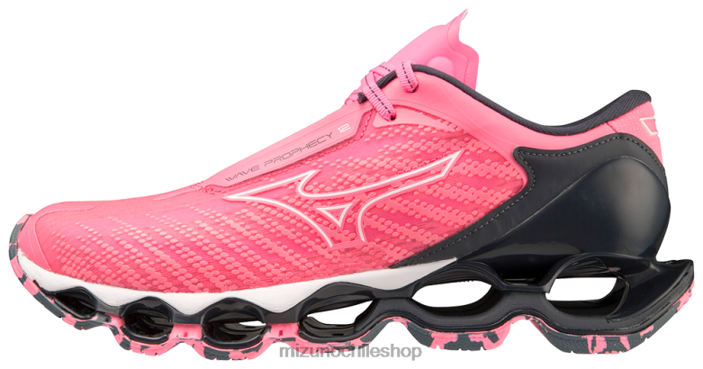 Mizuno zapatilla para correr wave profecy 12 sakuraglow-ombreblue(19re) mujer zapatos ZH2D25 Mizuno Chile